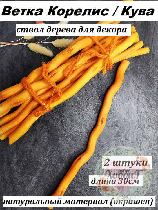 Ветка Корелис/Кува, 30см (оранжевый), 2штуки